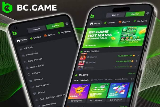 BC.Game Casino Platform A Comprehensive Overview of Features and Benefits